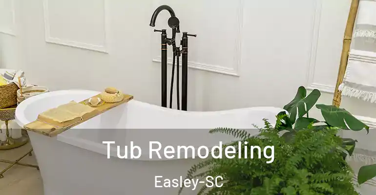 inner Bathroom imggen Tub Remodeling Easley-SC