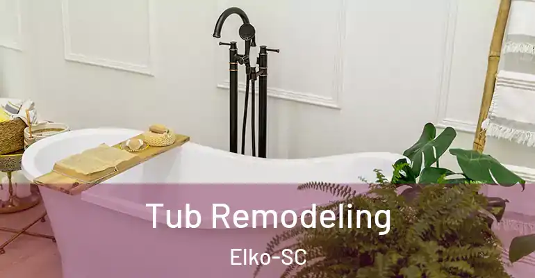 inner Bathroom imggen Tub Remodeling Elko-SC