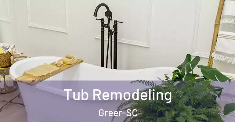 inner Bathroom imggen Tub Remodeling Greer-SC