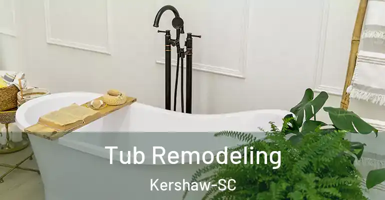 inner Bathroom imggen Tub Remodeling Kershaw-SC