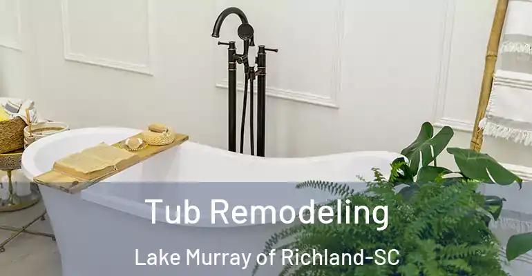 inner Bathroom imggen Tub Remodeling Lake Murray of Richland-SC