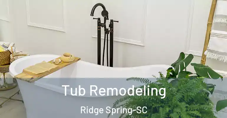 inner Bathroom imggen Tub Remodeling Ridge Spring-SC
