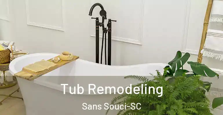 inner Bathroom imggen Tub Remodeling Sans Souci-SC
