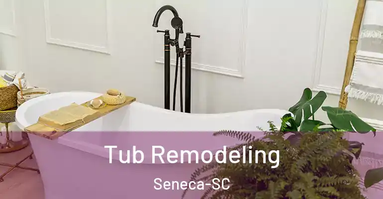inner Bathroom imggen Tub Remodeling Seneca-SC