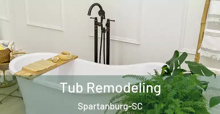 inner Bathroom imggen Tub Remodeling Spartanburg-SC