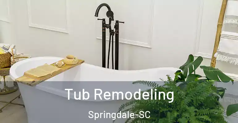 inner Bathroom imggen Tub Remodeling Springdale-SC