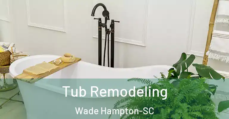 inner Bathroom imggen Tub Remodeling Wade Hampton-SC