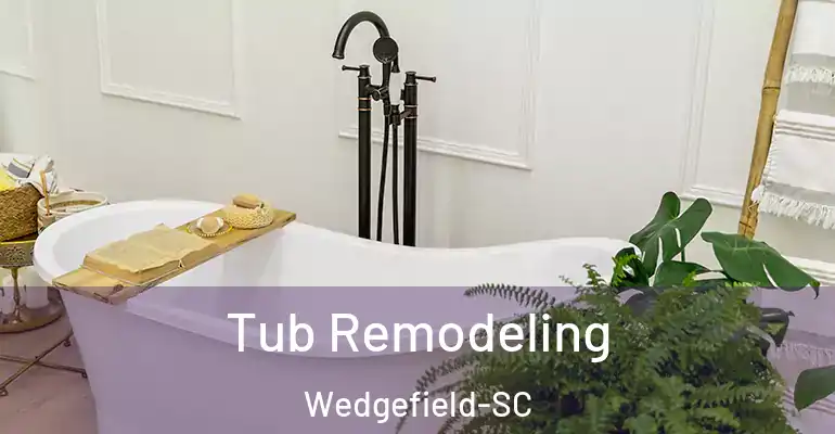 inner Bathroom imggen Tub Remodeling Wedgefield-SC