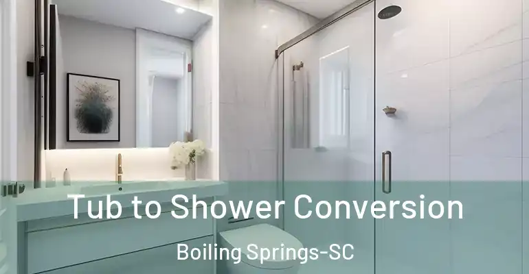 inner Bathroom imggen Tub to Shower Conversion Boiling Springs-SC