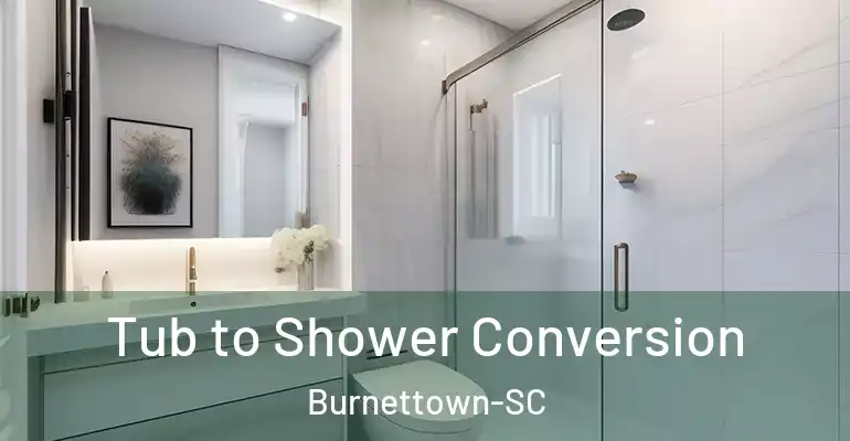 inner Bathroom imggen Tub to Shower Conversion Burnettown-SC