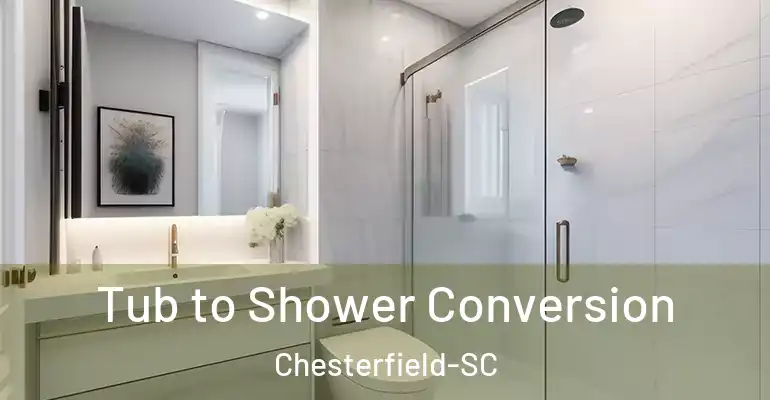 inner Bathroom imggen Tub to Shower Conversion Chesterfield-SC