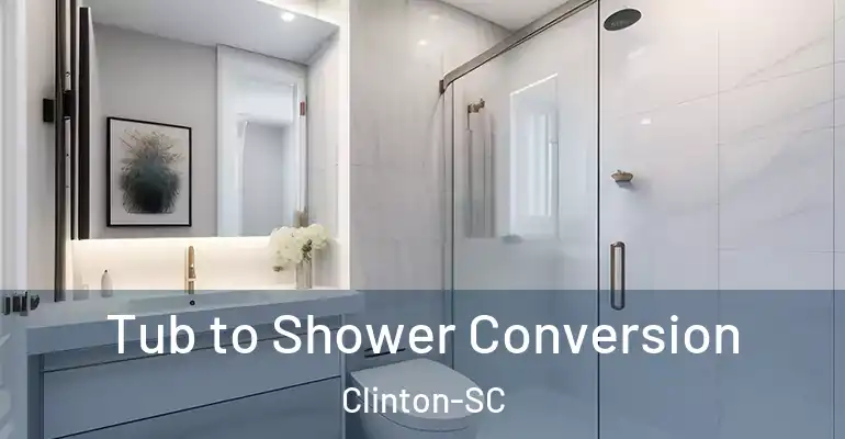 inner Bathroom imggen Tub to Shower Conversion Clinton-SC