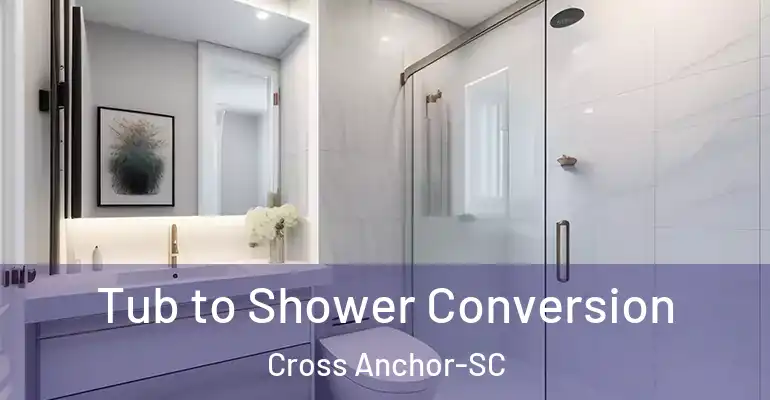 inner Bathroom imggen Tub to Shower Conversion Cross Anchor-SC