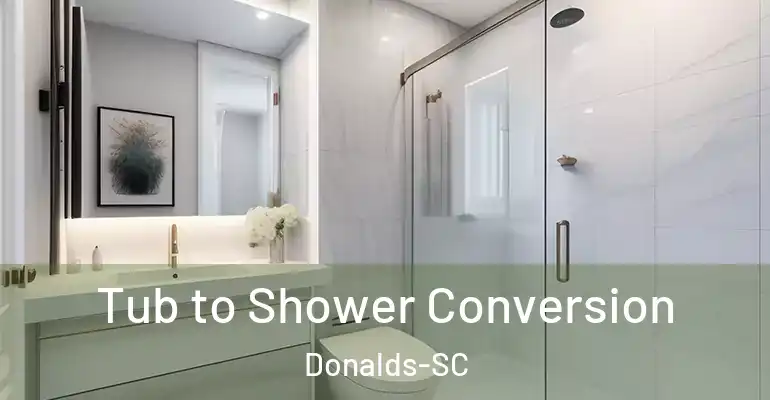 inner Bathroom imggen Tub to Shower Conversion Donalds-SC