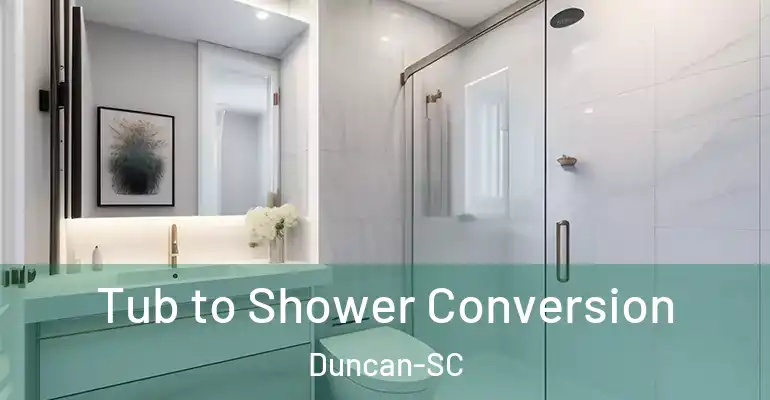 inner Bathroom imggen Tub to Shower Conversion Duncan-SC