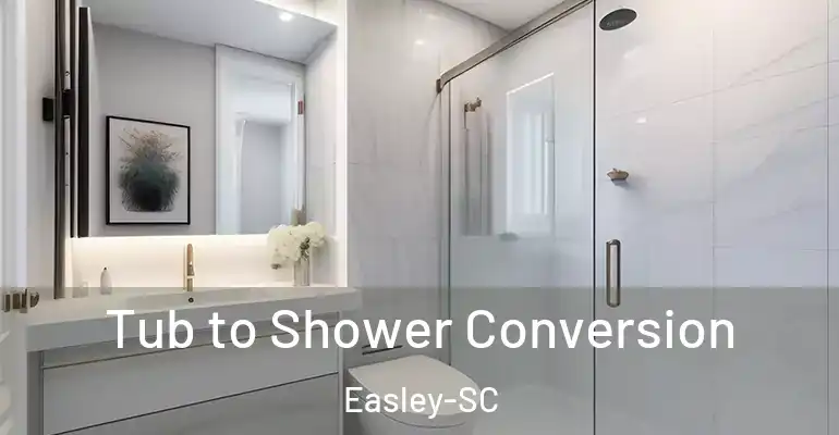 inner Bathroom imggen Tub to Shower Conversion Easley-SC