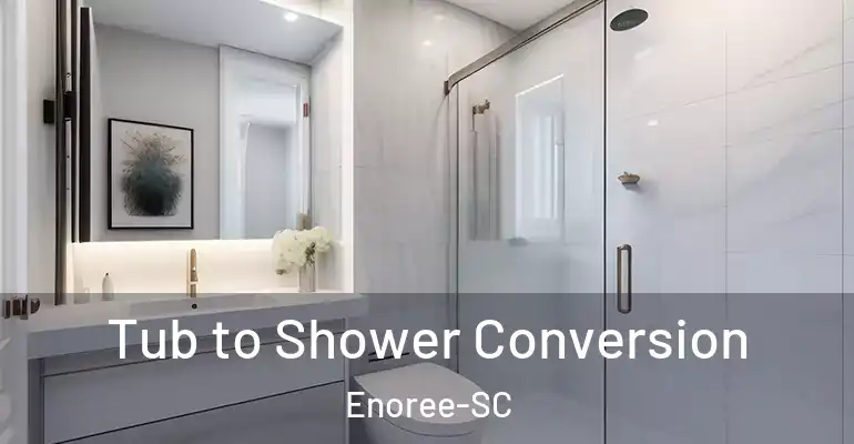 inner Bathroom imggen Tub to Shower Conversion Enoree-SC