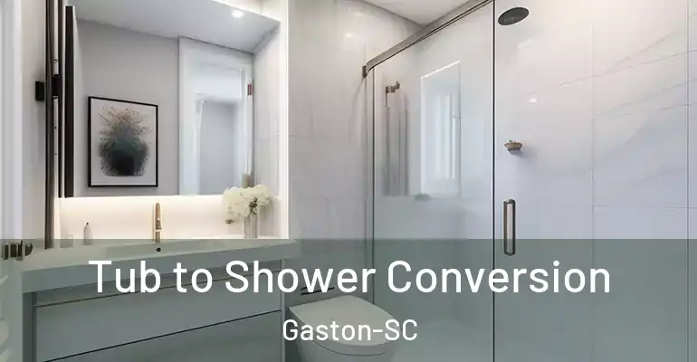 inner Bathroom imggen Tub to Shower Conversion Gaston-SC