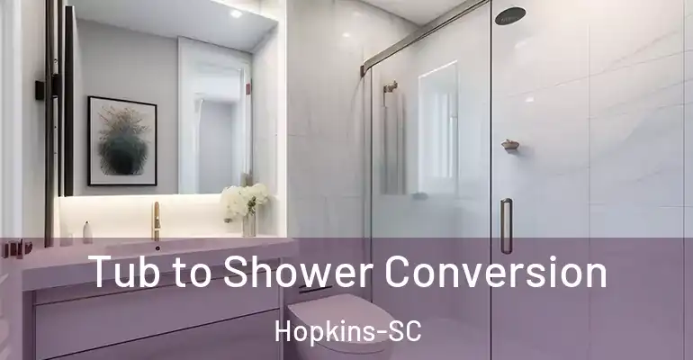 inner Bathroom imggen Tub to Shower Conversion Hopkins-SC