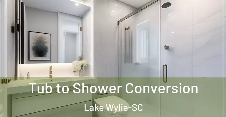 inner Bathroom imggen Tub to Shower Conversion Lake Wylie-SC