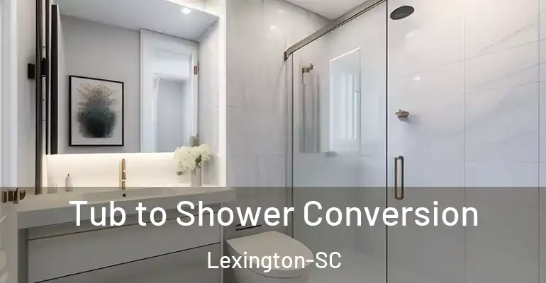 inner Bathroom imggen Tub to Shower Conversion Lexington-SC