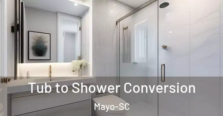 inner Bathroom imggen Tub to Shower Conversion Mayo-SC