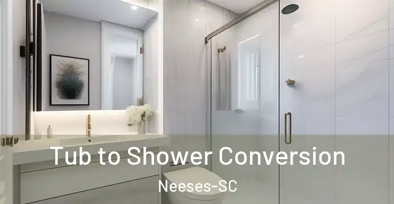 inner Bathroom imggen Tub to Shower Conversion Neeses-SC