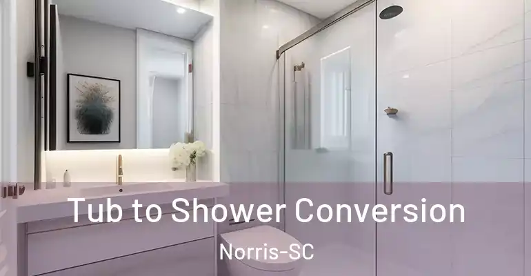 inner Bathroom imggen Tub to Shower Conversion Norris-SC