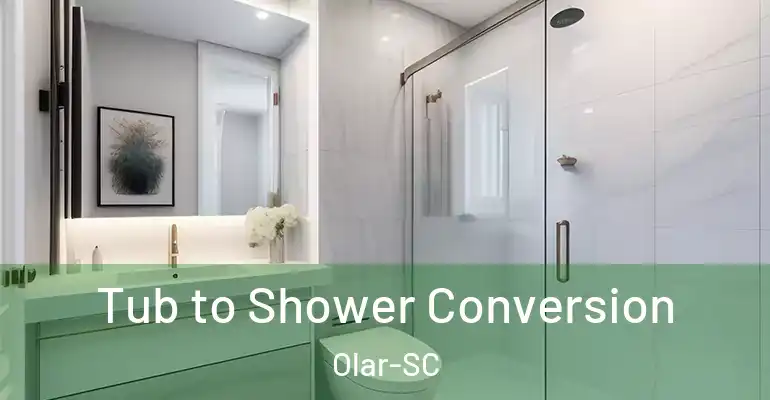 inner Bathroom imggen Tub to Shower Conversion Olar-SC