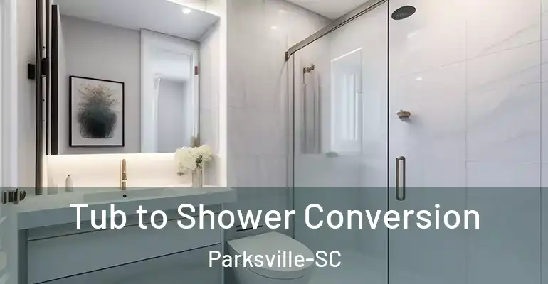 inner Bathroom imggen Tub to Shower Conversion Parksville-SC