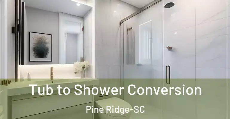 inner Bathroom imggen Tub to Shower Conversion Pine Ridge-SC