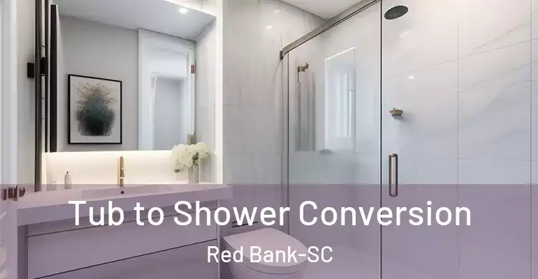 inner Bathroom imggen Tub to Shower Conversion Red Bank-SC