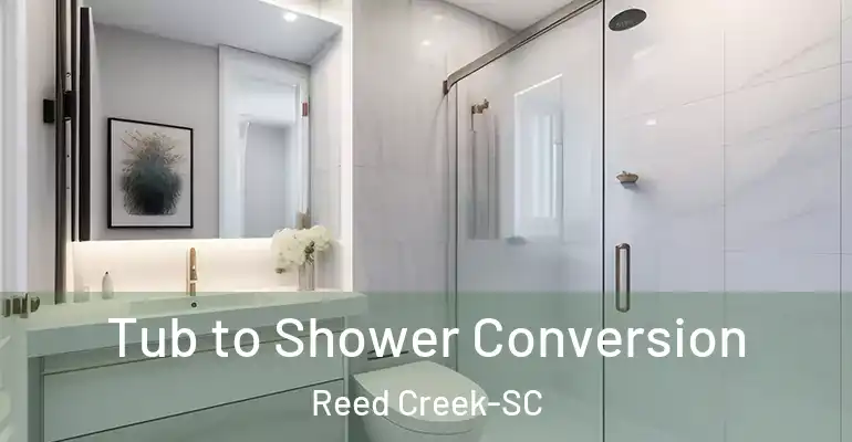inner Bathroom imggen Tub to Shower Conversion Reed Creek-SC