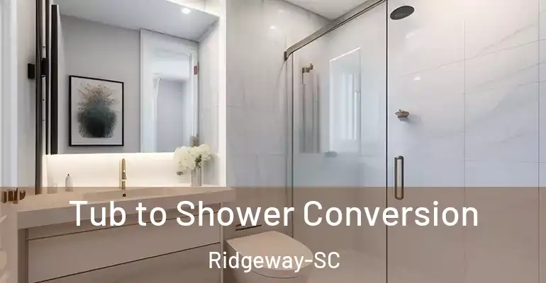 inner Bathroom imggen Tub to Shower Conversion Ridgeway-SC