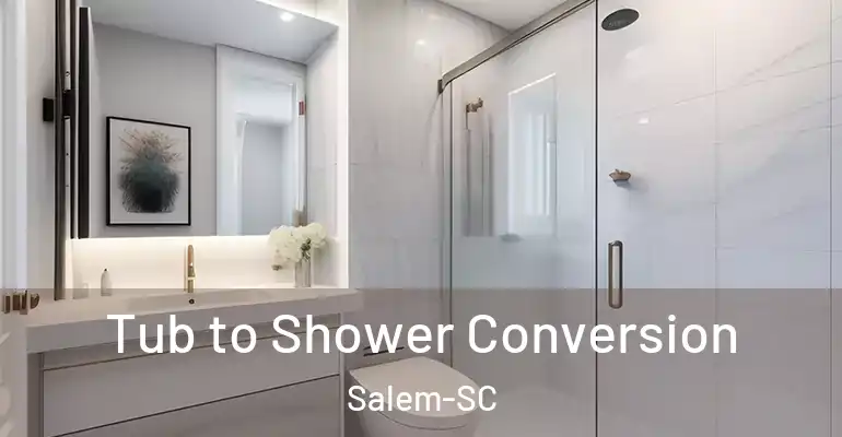 inner Bathroom imggen Tub to Shower Conversion Salem-SC