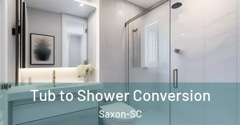 inner Bathroom imggen Tub to Shower Conversion Saxon-SC