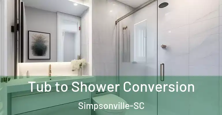 inner Bathroom imggen Tub to Shower Conversion Simpsonville-SC
