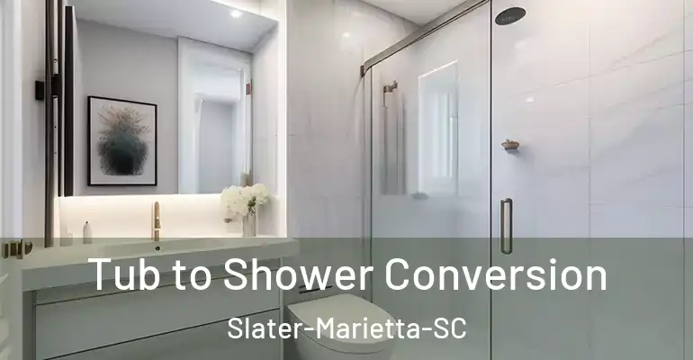 inner Bathroom imggen Tub to Shower Conversion Slater-Marietta-SC