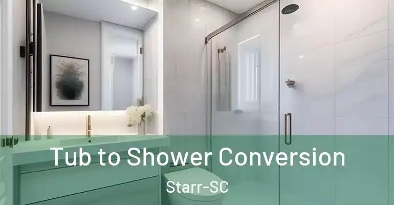 inner Bathroom imggen Tub to Shower Conversion Starr-SC