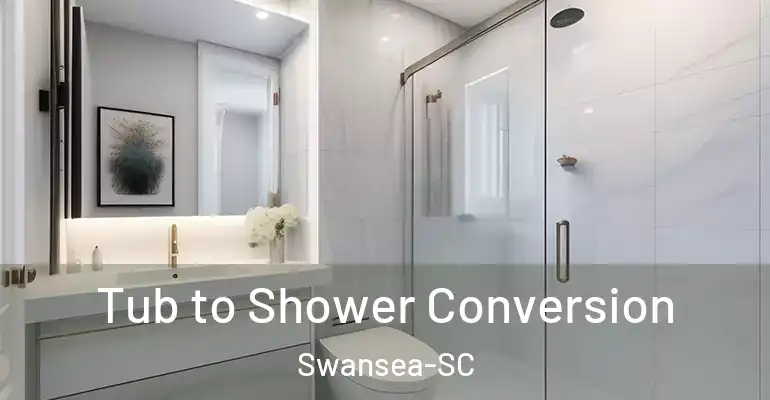inner Bathroom imggen Tub to Shower Conversion Swansea-SC