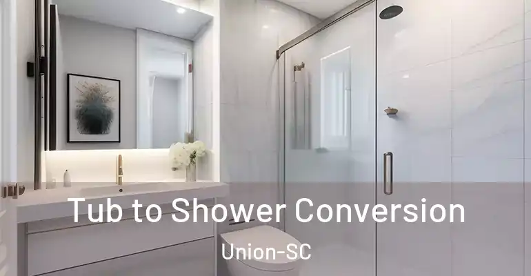 inner Bathroom imggen Tub to Shower Conversion Union-SC