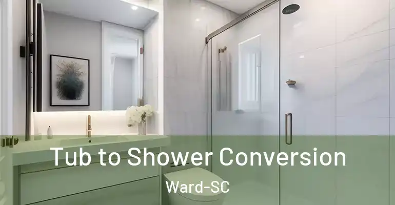 inner Bathroom imggen Tub to Shower Conversion Ward-SC