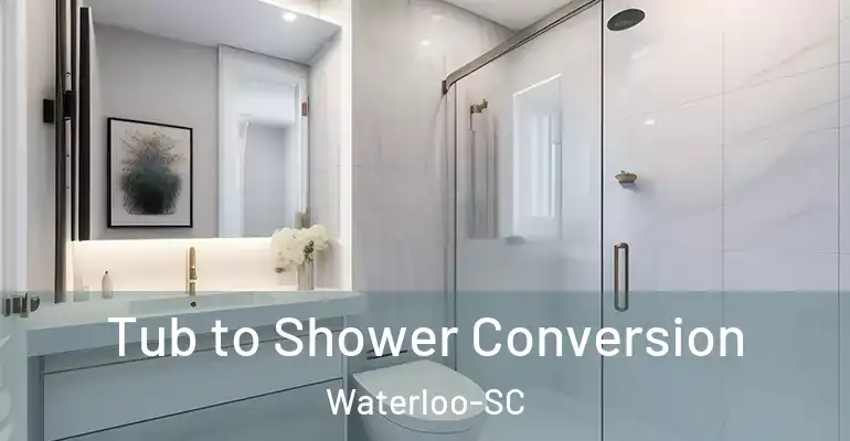 inner Bathroom imggen Tub to Shower Conversion Waterloo-SC