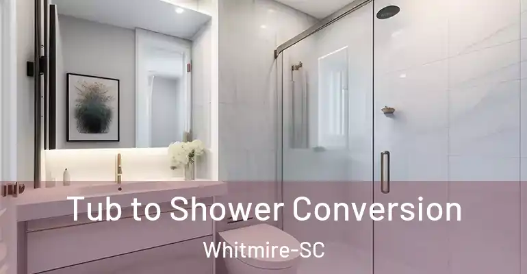 inner Bathroom imggen Tub to Shower Conversion Whitmire-SC