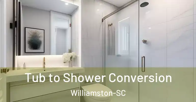 inner Bathroom imggen Tub to Shower Conversion Williamston-SC
