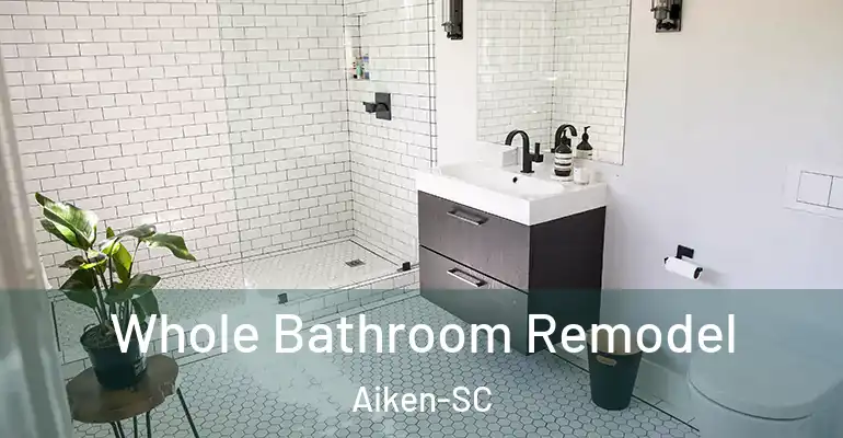 inner Bathroom imggen Whole Bathroom Remodel Aiken-SC