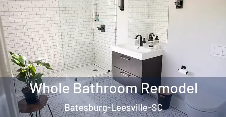 inner Bathroom imggen Whole Bathroom Remodel Batesburg-Leesville-SC