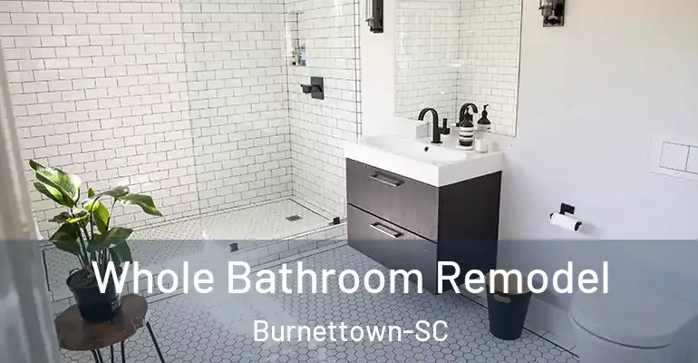 inner Bathroom imggen Whole Bathroom Remodel Burnettown-SC