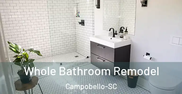 inner Bathroom imggen Whole Bathroom Remodel Campobello-SC