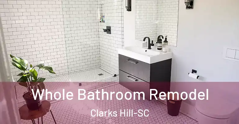 inner Bathroom imggen Whole Bathroom Remodel Clarks Hill-SC